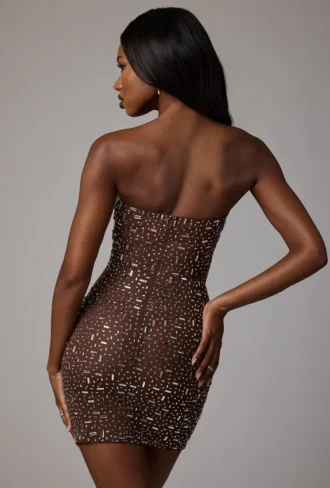 Caprice Sheer Embellished Bodycon Μίνι Φορέμα σε χρώμα Deep Cocoa