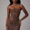 Caprice Sheer Embellished Bodycon Μίνι Φορέμα σε χρώμα Deep Cocoa Caprice Sheer Embellished Bodycon Μίνι Φορέμα σε χρώμα Deep Cocoa