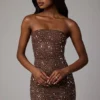 Caprice Sheer Embellished Bodycon Μίνι Φορέμα σε χρώμα Deep Cocoa Caprice Sheer Embellished Bodycon Μίνι Φορέμα σε χρώμα Deep Cocoa