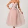 Φορέμα Cindy Tulle Corset Midaxi σε χρώμα Dusty Rose Φορέμα Cindy Tulle Corset Midaxi σε χρώμα Dusty Rose