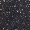 Lumina Embellished Long-Sleeve Crop Top σε μαύρο Lumina Embellished Long-Sleeve Crop Top σε μαύρο