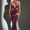 Μάξι φόρεμα Adriana Velvet με λαιμόκοψη halter σε χρώμα κρασιού Μάξι φόρεμα Adriana Velvet με λαιμόκοψη halter σε χρώμα κρασιού