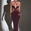 Μάξι φόρεμα Adriana Velvet με λαιμόκοψη halter σε χρώμα κρασιού Μάξι φόρεμα Adriana Velvet με λαιμόκοψη halter σε χρώμα κρασιού