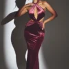 Μάξι φόρεμα Adriana Velvet με λαιμόκοψη halter σε χρώμα κρασιού Μάξι φόρεμα Adriana Velvet με λαιμόκοψη halter σε χρώμα κρασιού