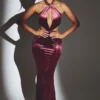 Μάξι φόρεμα Adriana Velvet με λαιμόκοψη halter σε χρώμα κρασιού Μάξι φόρεμα Adriana Velvet με λαιμόκοψη halter σε χρώμα κρασιού
