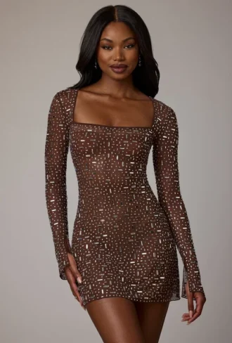 Zeta Sheer Embellished Long Sleeve A-Line Μίνι Φορέμα σε χρώμα Deep Cocoa