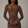Zeta Sheer Embellished Long Sleeve A-Line Μίνι Φορέμα σε χρώμα Deep Cocoa Zeta Sheer Embellished Long Sleeve A-Line Μίνι Φορέμα σε χρώμα Deep Cocoa